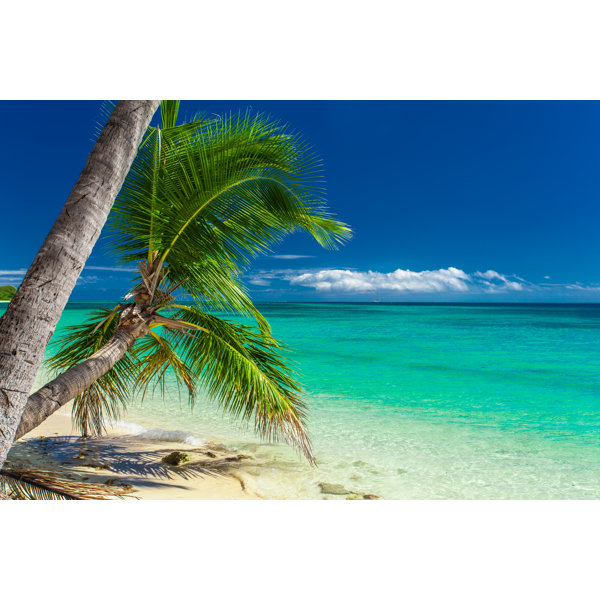 Highland Dunes Palm Trees Hanging Over Tropical Beach In Fiji By